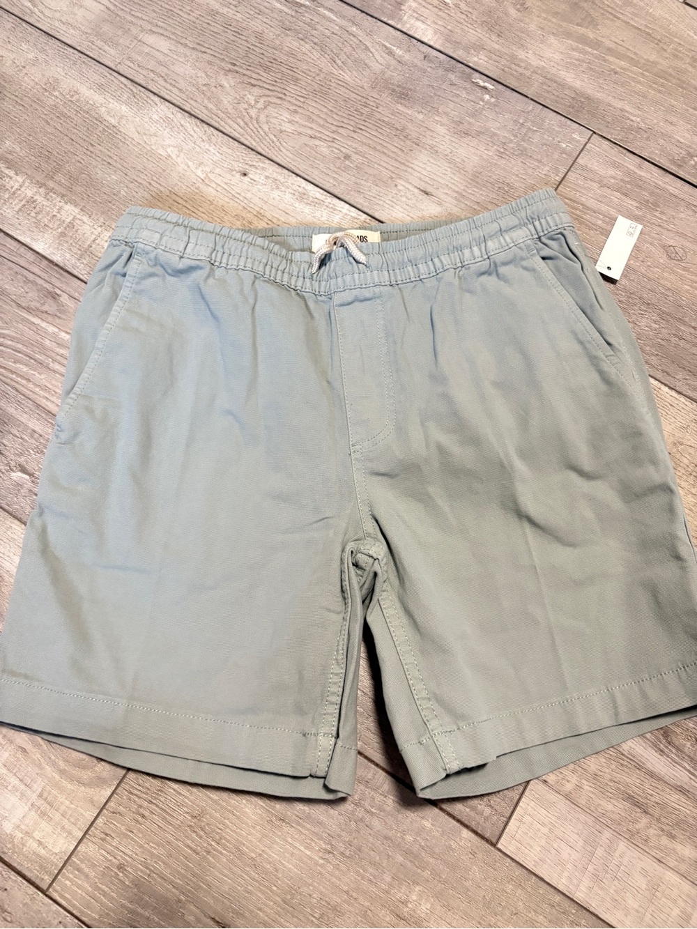 Goodthreads Men's Sage Drawstring Elastic Waist Shorts